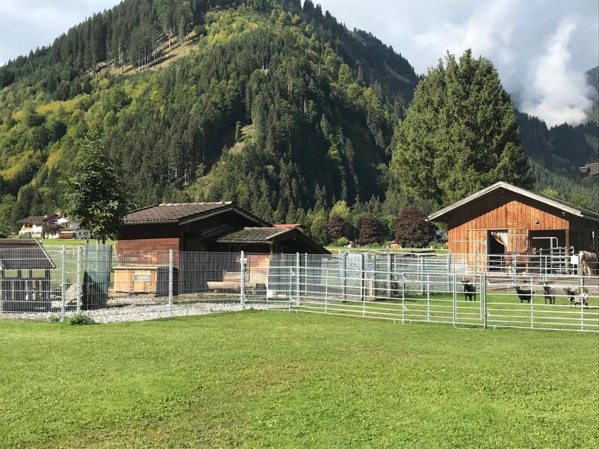 Pony-Ziegen-Hasen-Ranch Bichlbach Διαμέρισμα Εξωτερικό φωτογραφία